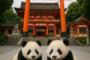 中国人「京都はほぼ欧米」　中国人「フランスの若者は日本が大好き」「パリよりも白人濃度が高い」