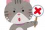 【猫の修羅場】ある日帰宅するといつも迎えに来る猫が来ない。家中を探すと浴槽で優雅に泳いでる猫が…すげえネコカキしてるぅ思ったら→