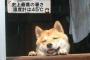 【悲報】暑い