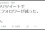 山本彩「大量にフォロワーが減った。悲しい・・・」　【大量リツイートが原因】