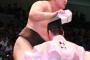 【大相撲名古屋場所】白鵬 8勝0敗、鶴竜 8勝0敗、照ノ富士 7勝1敗