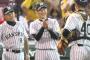 能見篤史(36) 18試合116回　8勝9敗 防.357