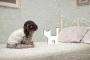 今日も猫の形に開いた穴を埋めに