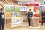 フジテレビ出演のSHEALDsが『出演者に袋叩きにされる』喜劇が発生。Twitterで凄まじい発言を連発中