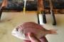 【画像あり】魚屋で働いている俺が簡単で美味しい鯛飯の作り方をゆっくり書いていく