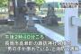 神社で石灯籠に登っていた６歳男児死亡 灯籠の上の部分が壊れ２メートル下の石畳に転落して全身を強く打ち、およそ１時間後に亡くなる