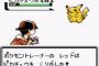 レッドのピカチュウ強すぎて困ってた俺にハガネールで余裕と教えてくれた兄
