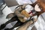 アニメキャラで上着を天女の羽衣みたいにして着てる奴とかいるじゃん？