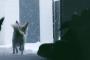 【動画】　チワワは喜び庭駆け回る！！