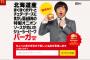 ○○バーガーに名称を応募することでポテト１５０円クーポンｷﾀ━━━━(ﾟ∀ﾟ)━━━━!!