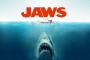 ジョーズからサメ映画にハマり100本以上見たワイが選ぶ最高のサメ映画