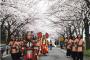 ”韓国の桜祭り”が『日本を徹底的に貶める』最悪の代物だと暴露された模様。ツッコミ所満載すぎて日本側困惑