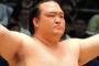 【相撲】三月場所七日目　横綱大関安泰　稀勢7連勝