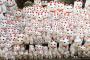 外国人観光客も注目！招き猫がひしめきあう日本のお寺に海外仰天（海外反応）