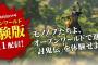 『討鬼伝2』体験版のシンラゴウ討伐クリア【管理人の感想】