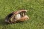 プロ野球見てて一番イライラする場面ｗｗｗｗｗｗｗｗ