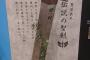 【伝説】勇者の剣かなにかにしか見えない表札が話題にｗｗｗｗ男前ってレベルじゃねえだろｗｗｗｗｗ