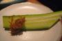 きゅうりが「世界一栄養のない野菜」としてギネスに認定されてるが