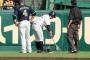 甲子園の落下物の正体が判明ｗｗｗｗｗｗｗｗｗｗｗｗｗ