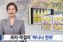 「ハニーバター味は古い！」韓国人「韓国でバナナ味の食品が大人気！お菓子～マッコリまでバナナ味天下に！」　韓国ニュース