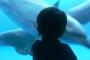 イルカのいる水族館に行くとき、最初に入り口の売店でイルカのぬいぐるみ買っていくのオススメ