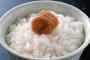 ご飯の進むおかずランキングを発表するよ