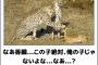 従兄弟が嫁に托卵されてるのに私は薄々気づいていたが言うことができなかった。従兄弟が嫁を疑い、我が家に来た際に・・・