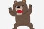 なんか最近クマがヤバイらしいからガチで倒す方法考えるぞ