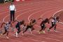 全スポーツの中で運動神経のほぼ全てが必要な競技って何や？