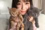 ぱるるが深夜に異次元の可愛い画像をTwitterに！　【犬→猫に推し変か？】