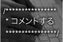 俺氏プログラマー、プログラムにコメントを入れる事を放棄する