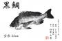 彼氏の息子の魚拓取ろうとした結果ｗｗｗｗｗｗ