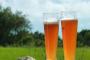「ビール」「発泡酒」「第3のビール」←これ目つぶって飲んで区別つくん？