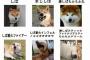 激しばもふもふ丸