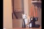 イタズラが見つかり、修正ww→可愛すぎる猫の行動に萌えるわ！！！