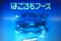 野獣先輩が経営する食品会社「たどころフーズ」にありがちなこと