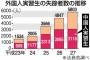 来日した中国人技能実習生、５年で１万人消える