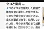 【超絶悲報】 タコのオスの一生がマジで悲しすぎると話題に