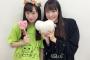 【NMB48】控えめなここなたん