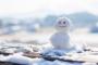 東京都民が東北民から「え？その程度の雪で大騒ぎとかザコすぎない？w」と言われるのは