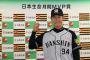 2016年プロ野球珍記録で打線組んだ