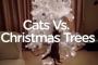 海外「猫の飼い主にとっての猫あるあるｗｗｗｗ」 猫 VS クリスマスツリー