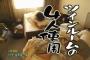 水曜どうでしょうのせいで面白く感じるワードｗｗｗｗｗｗｗｗｗｗｗｗ