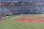 【強化試合】阪神、オーストラリアに完封勝ち！ＷＢＣ強化試合で連勝！！