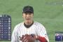 【悲報】坂本勇人さん、ガチで菅野のことが嫌いだったｗｗｗｗｗｗｗｗ