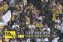 【オープン戦試合結果】 阪神 2 - 1 オリックス [3/25]