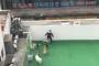 【閲覧注意】韓国でペットホテルの職員が犬を暴行！！職員「教育中だった」（ショッキング動画）