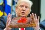 アメリカ国民さん、トランプ大統領の高級熟成ステーキの食い方ウェルダン＋ケチャップに失望する