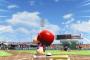 プロ野球ってボール落下点表示するべきやろ