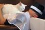 【萌え注意】美容室の猫がお客様のお腹に乗るのが好きで困ると言うので思う存分乗っていただいた結果ｗｗｗ（画像あり）